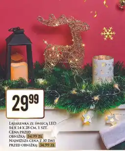 Dino Latarenka solarna ze świecą led oferta