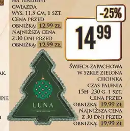 Dino Świeca choinka oferta