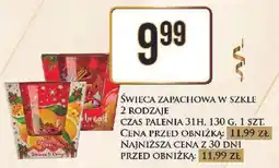 Dino Świeca zapachowa w szkle oferta