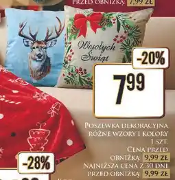 Dino Poszewka dekoracyjna oferta