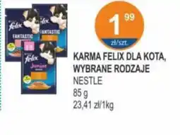 Rabat KARMA FELIX DLA KOTA oferta