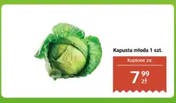 Biedronka Kapusta młoda 1 szt. Biedronka oferta