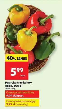 Biedronka Papryka trzy kolory opak. 500g Biedronka oferta