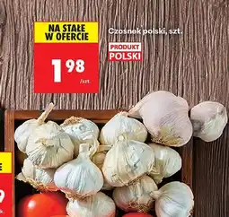 Biedronka Czosnek polski, szt Biedronka oferta