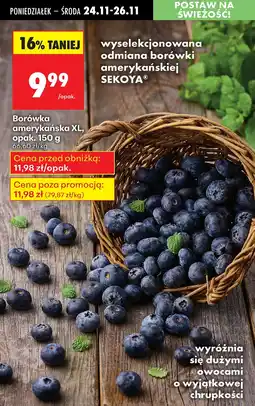 Biedronka Borówka amerykańska XL, opak. 150 g SEKOYA oferta