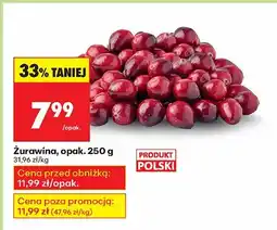 Biedronka Żurawina Biedronka oferta
