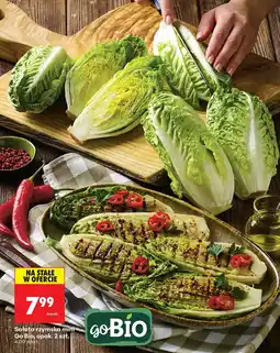 Biedronka Sałata rzymska mini Go Bio oferta