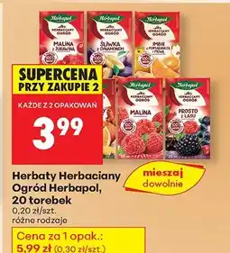 Biedronka Herbaty Herbaciany Ogród, 20 torebek, różne rodzaje Herbapol oferta