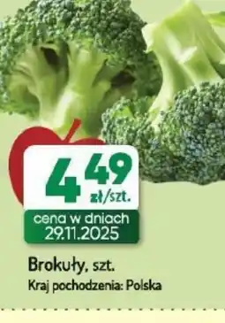 Avita Brokuły oferta