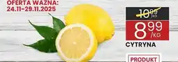 Wafelek Cytryna Wafelek oferta