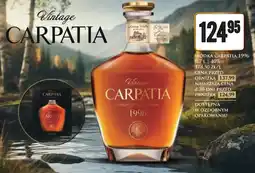 Dino Wódka Carpatia oferta