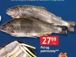 E.Leclerc Pstrąg C &C oferta