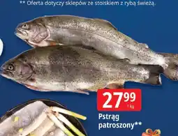 E.Leclerc Pstrąg patroszony Leclerc oferta