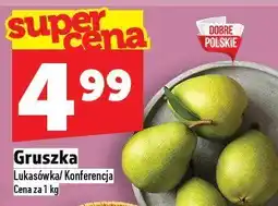 Topaz Gruszka Lukasówka/Konferencja TOPAZ oferta