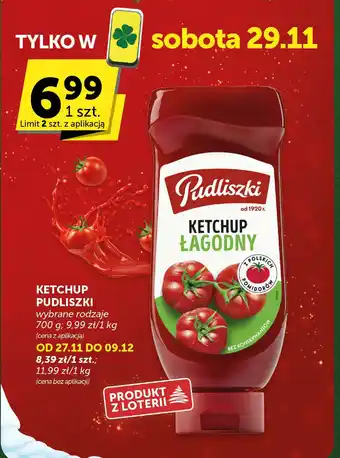 Ketchup Pudliszki wybrane rodzaje