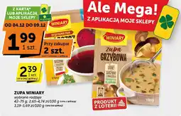 Euro Sklep Zupa Winiary wybrane rodzaje oferta