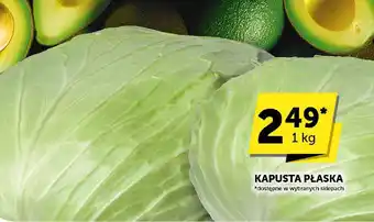 Kapusta płaska Euro Sklep