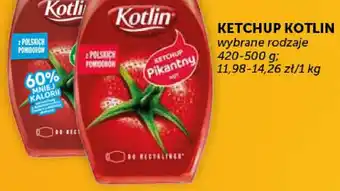 Groszek Ketchup Kotlin oferta