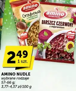 Euro Sklep Amino nudle wybrane rodzaje oferta
