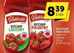Euro Sklep Ketchup łagodny, pikantny Pudliszki oferta