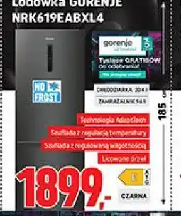 Neopunkt Lodówka GORENJE oferta