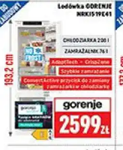 Neopunkt Lodówka GORENJE oferta