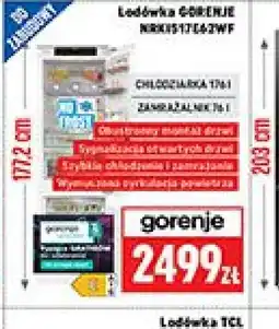 Neopunkt Lodówka GORENJE oferta