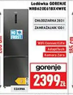 Neopunkt Lodówka GORENJE oferta