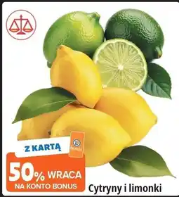E.Leclerc Limonka oferta