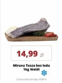 Torimpex Miruna Tusza bez lodu Waldi oferta