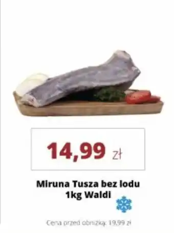 Miruna Tusza bez lodu Waldi