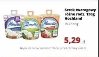 Torimpex Serek twarogowy Hochland oferta