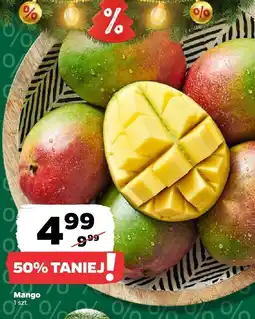 Netto Mango Netto oferta