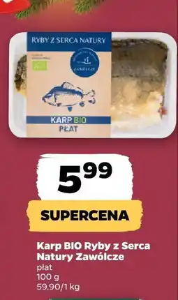 Netto Karp BIO Ryby z Serca Natury Żawisze płat oferta