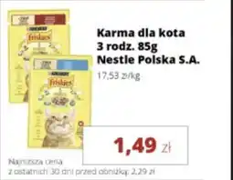 Torimpex Karma dla kota Nestle Polska S.A. oferta