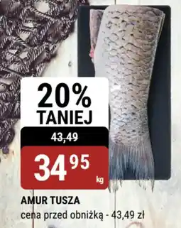 bi1 Amur tusza oferta