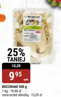 bi1 Boczniaki oferta