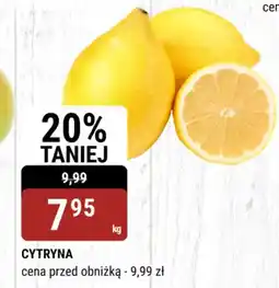 bi1 Cytryna oferta