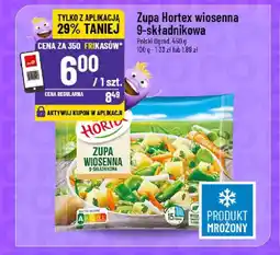 Polomarket Zupa Hortex wiosenna 9-składnikowa oferta