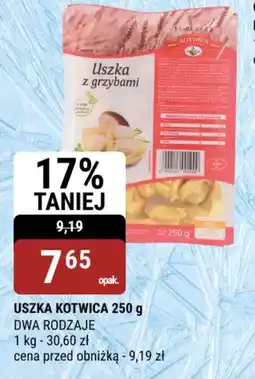 bi1 Uszka kotwica oferta