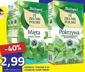 Hildebrandt Zielnik Polski oferta