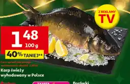 Auchan Karp O oferta
