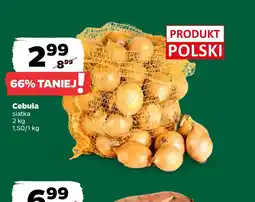 Netto Cebula Polski oferta