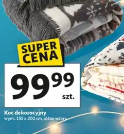Auchan Koc dekoracyjny oferta