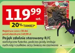 Auchan Pająk zdalnie sterowany R/C oferta
