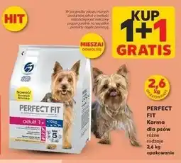 Kaufland Karma dla psa adult 1+ oferta