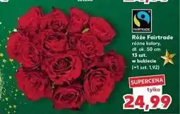 Kaufland Róże fairtrade oferta
