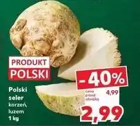 Kaufland Seler korzeń polska oferta