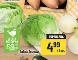 Polomarket Sałata lodowa oferta