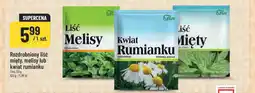Polomarket Rozdrobniony liść mięty, melisy lub kwiat rumianku oferta